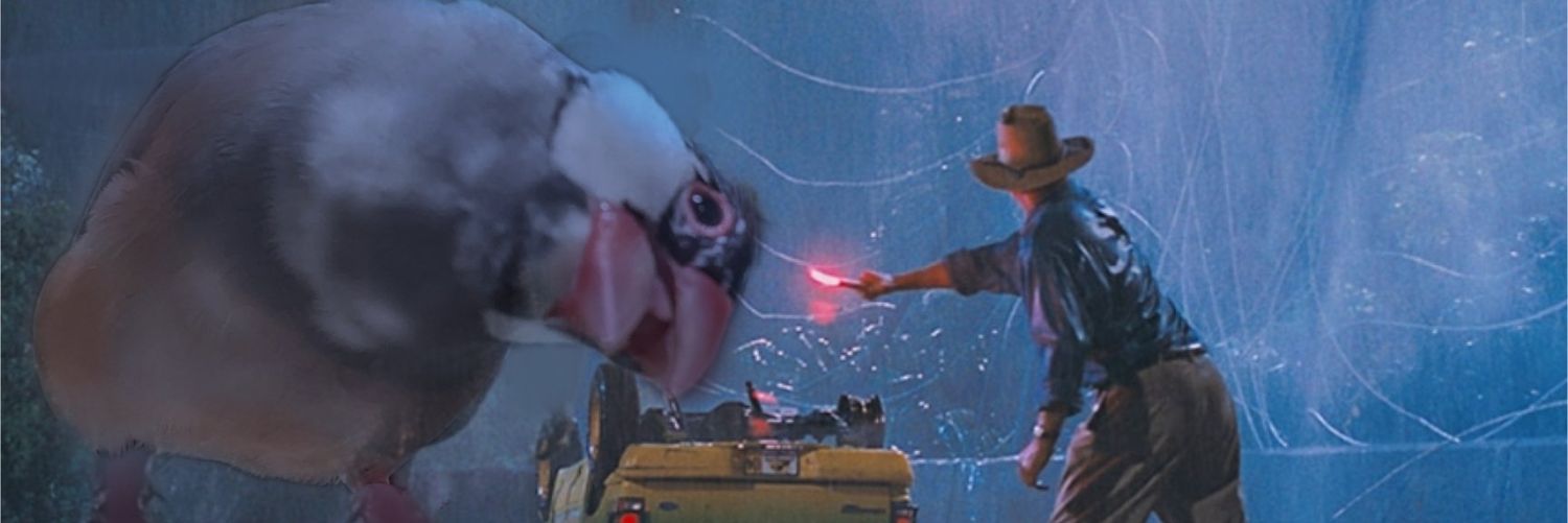 XL文鳥 banner