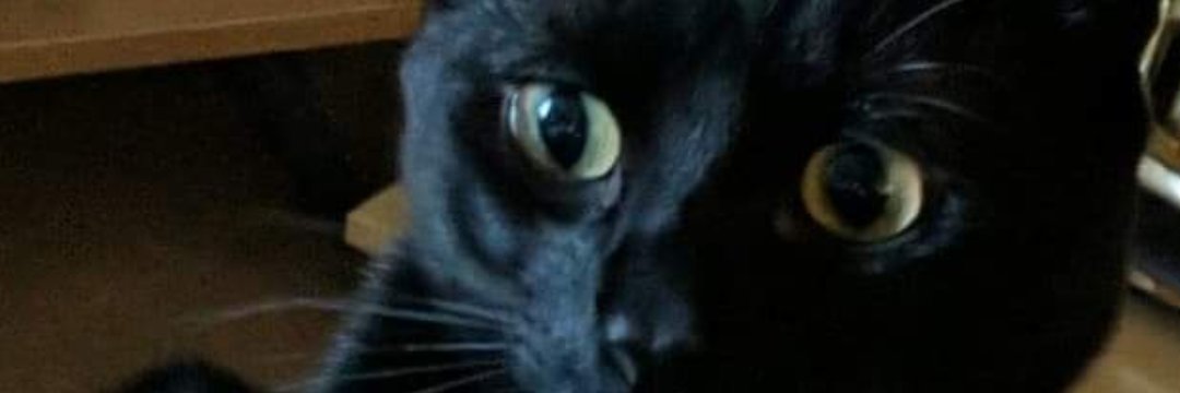 KilledBySkili TTV banner