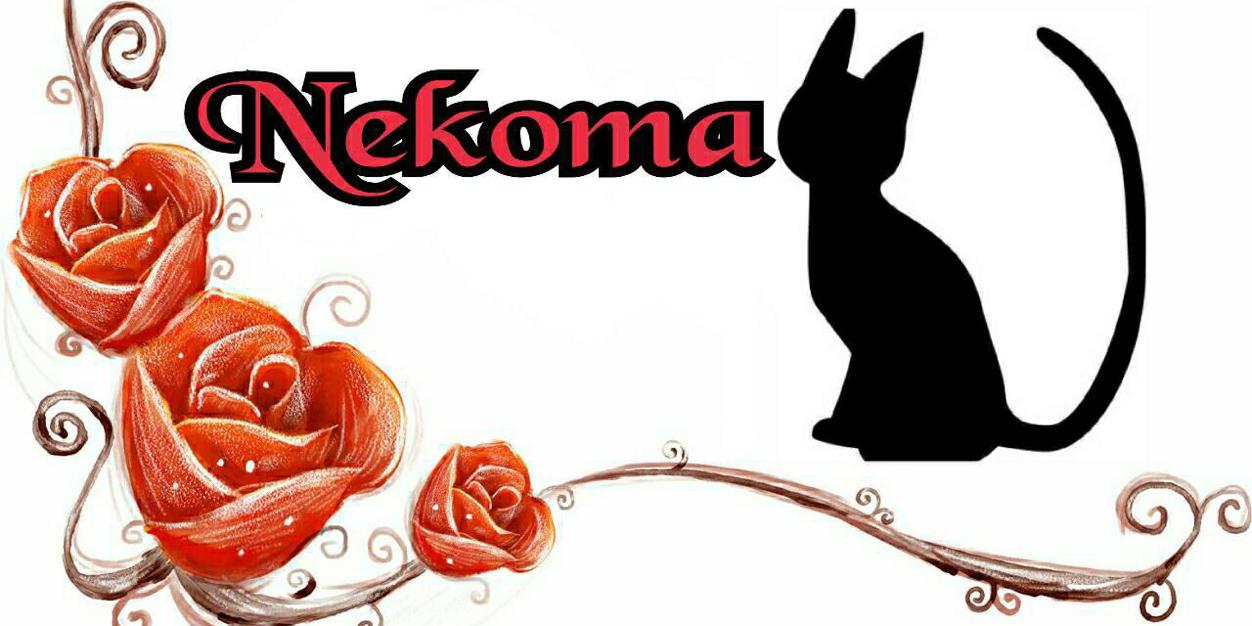 ruka_2nd's profile banner image