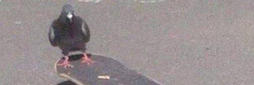 Abeja_Muerta0's profile banner image