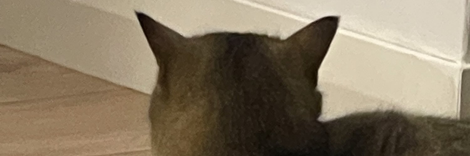 membanjerbuta's profile banner image