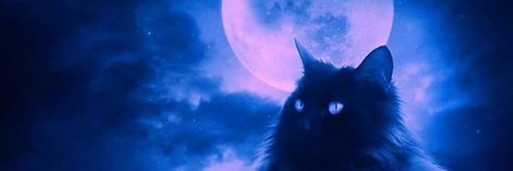 AnaGoala's profile banner image