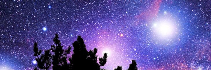 MaviaWood's profile banner image