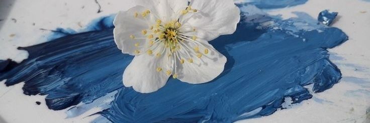 Ishana banner