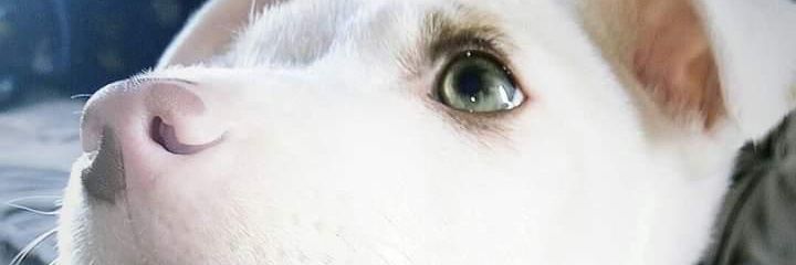 _valeenr's profile banner image