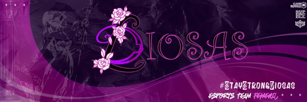 Diosas_eSports Profile Banner