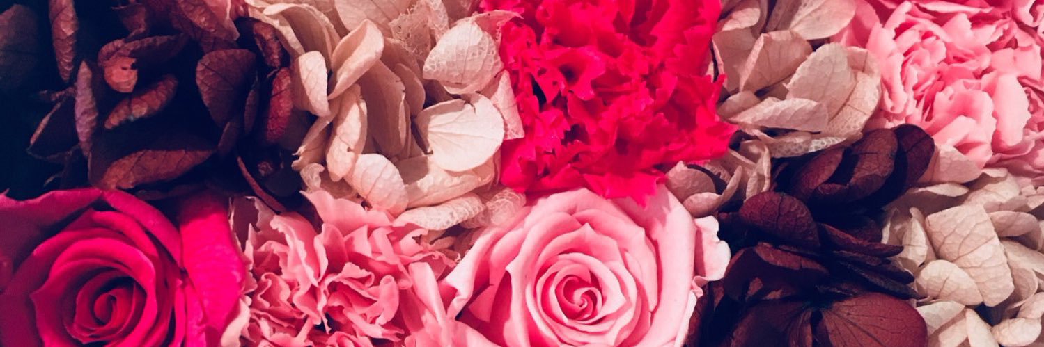 msclv_Ayano's profile banner image