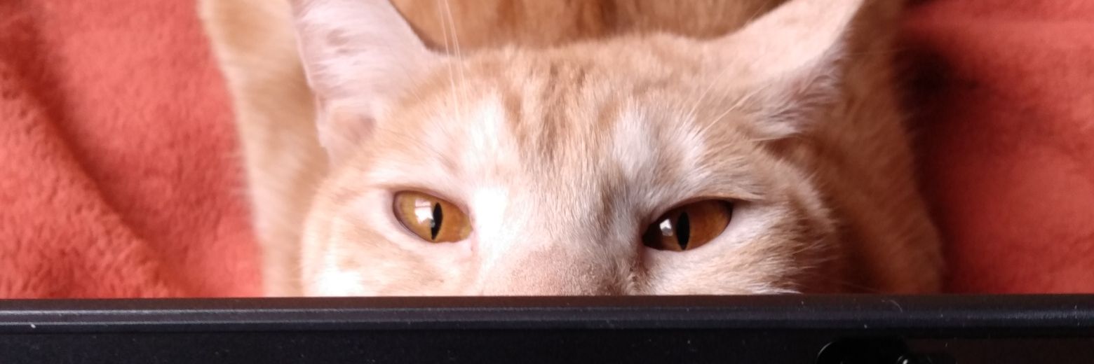 WeilTheodore's profile banner image