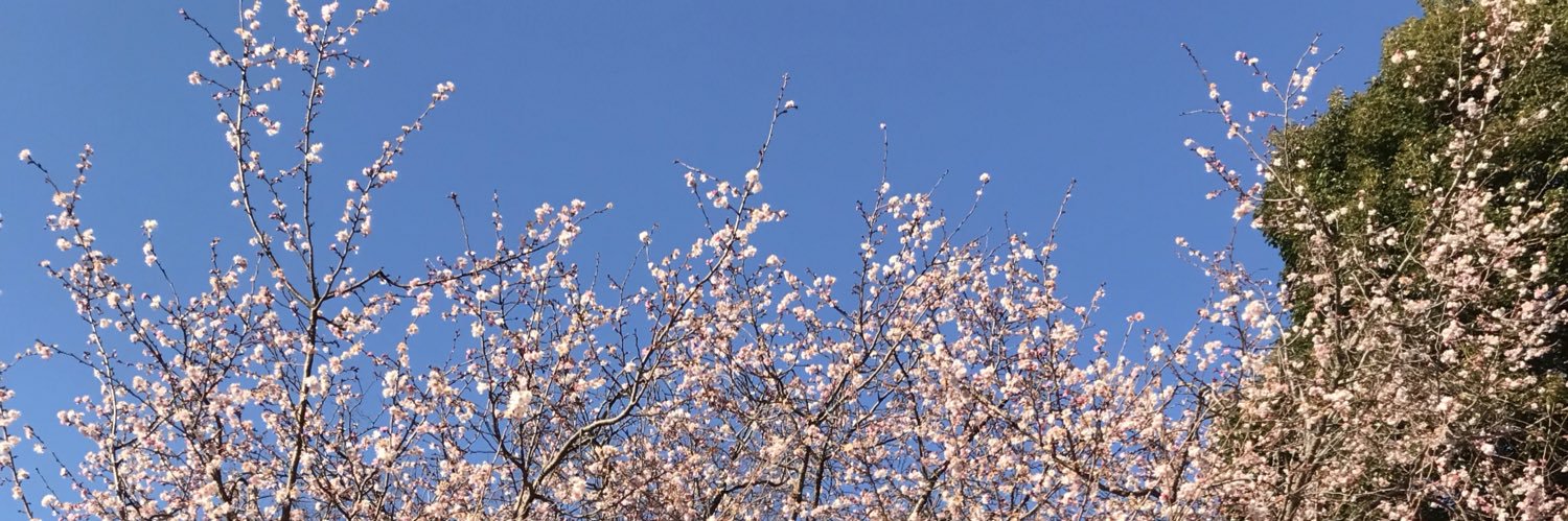 ふらっとあうと banner