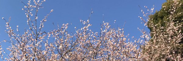 flatout_ko Profile Banner