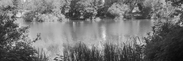 jody04138434 Profile Banner