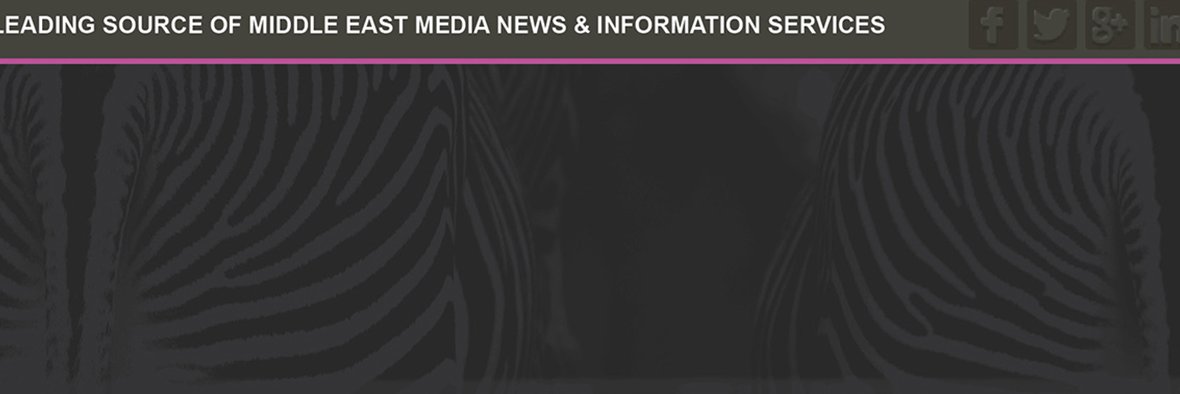 The Media Network banner