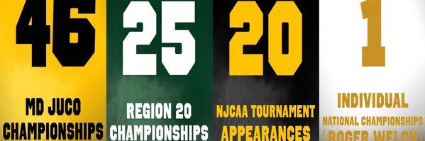 CSM Hawks Athletics banner