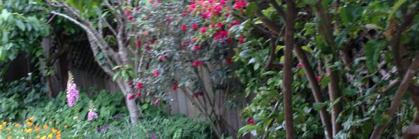 dnm54 Profile Banner