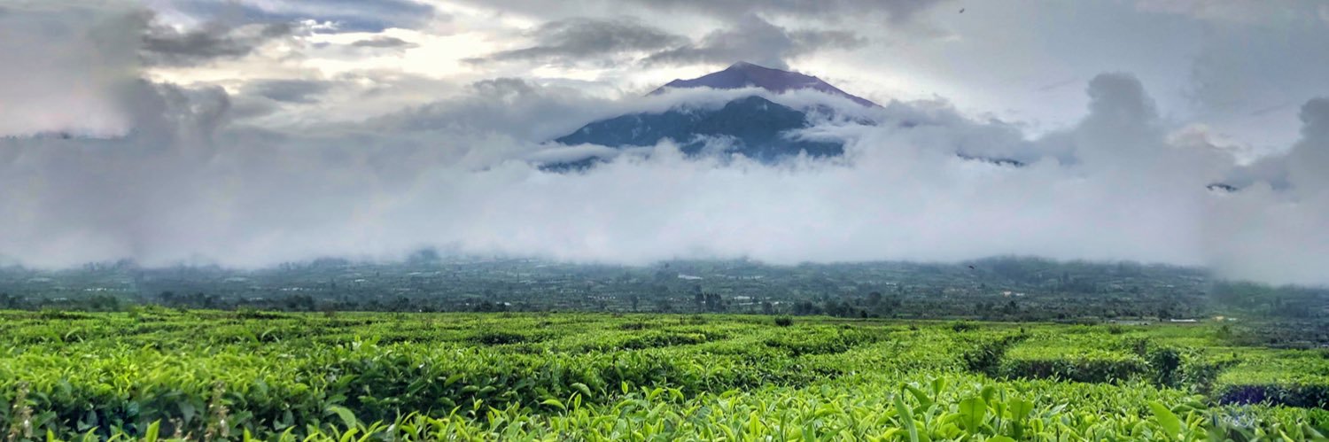 OreoChofee's profile banner image