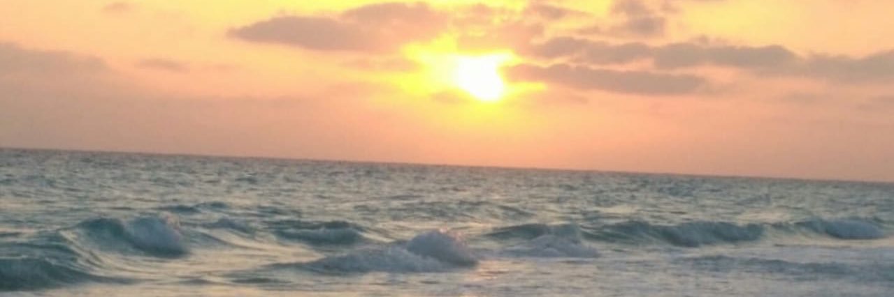 arwaali258's profile banner image