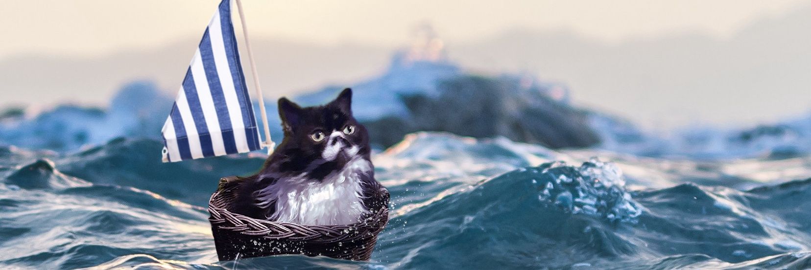 Patrick K. Mills banner