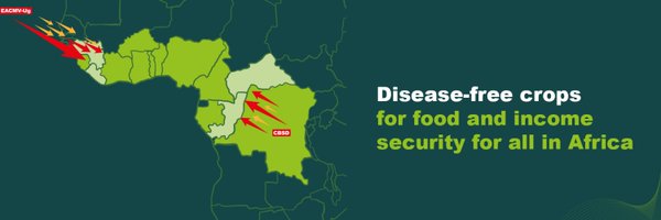 WAVE_RegionalCE Profile Banner