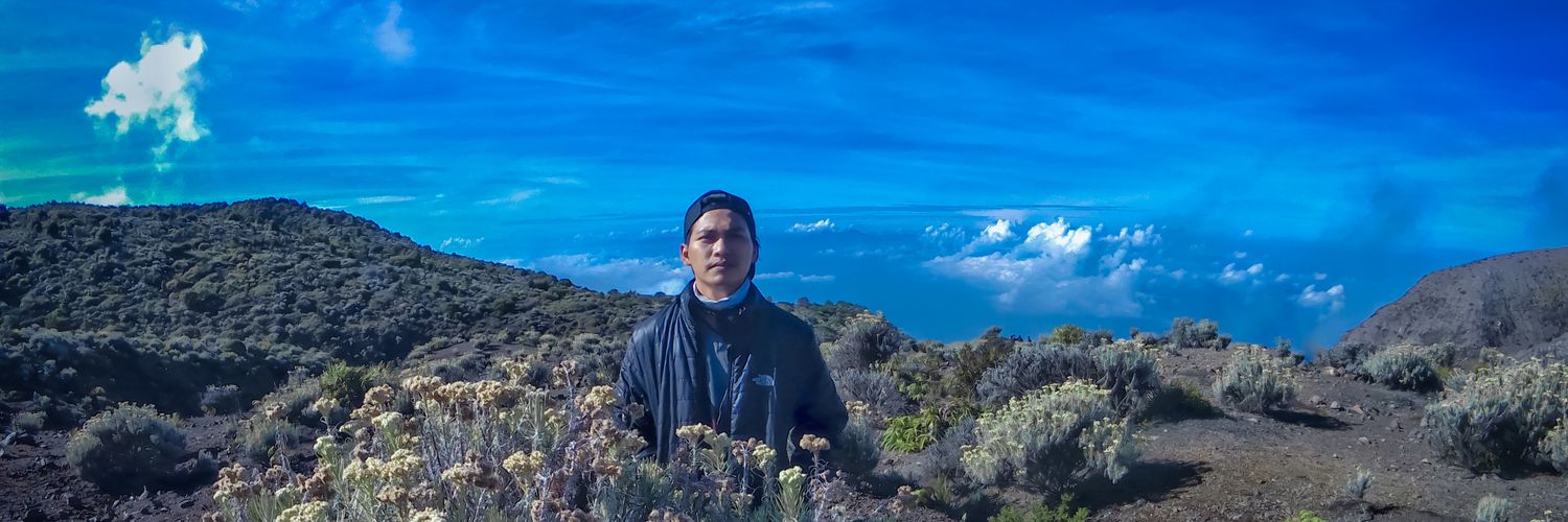 mulsiwa's profile banner image