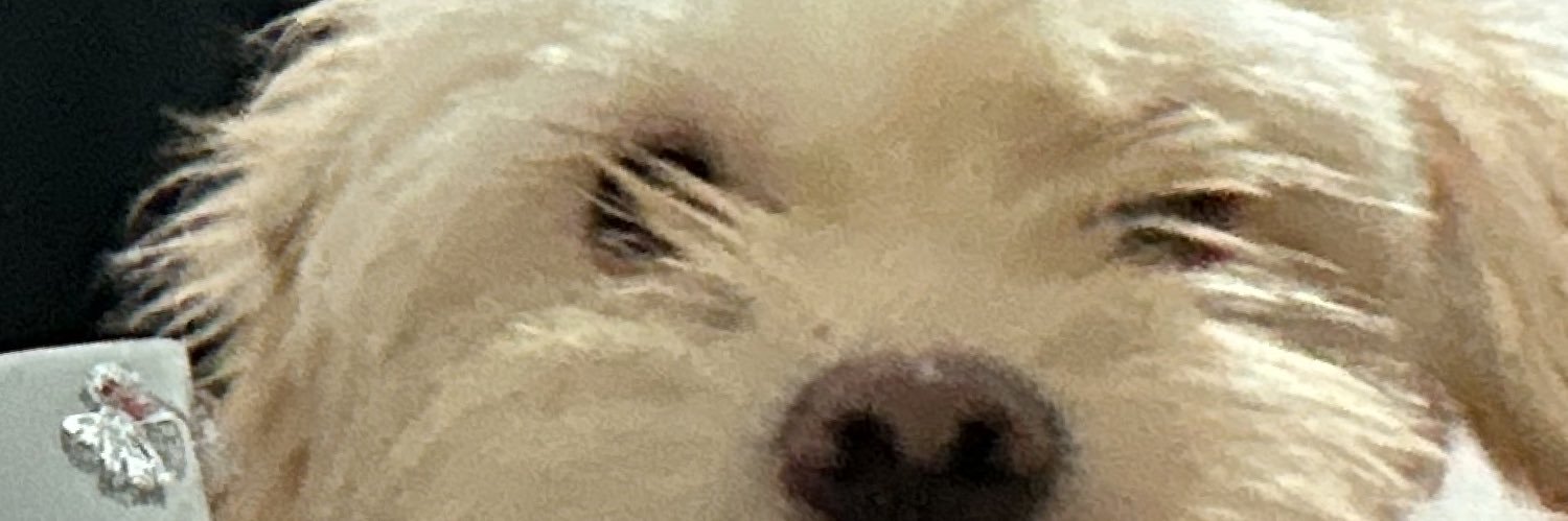 iamyulys's profile banner image