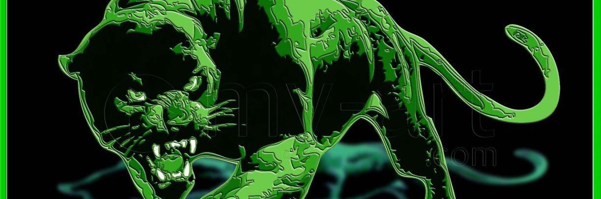 Patrick ASSE 💚⚪️ banner