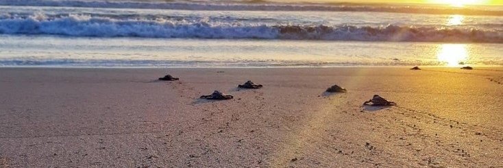 RelaxNica 😎 banner