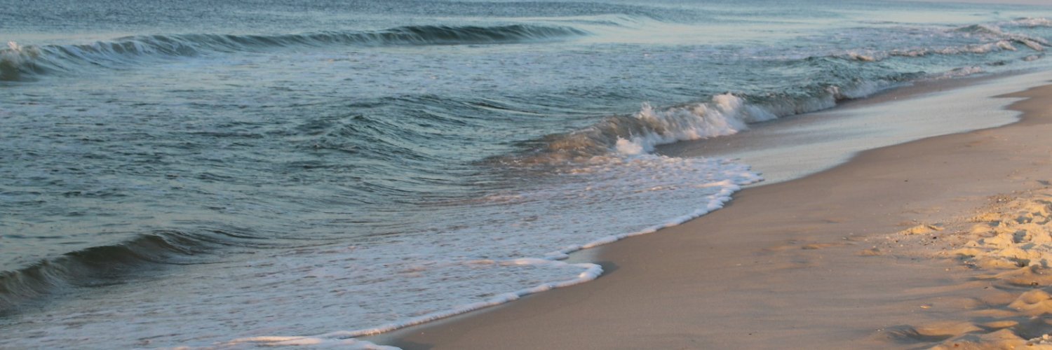Glee's Gulf Coast banner