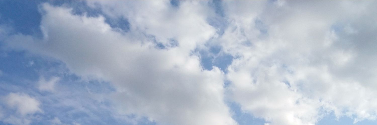tsaiori's profile banner image