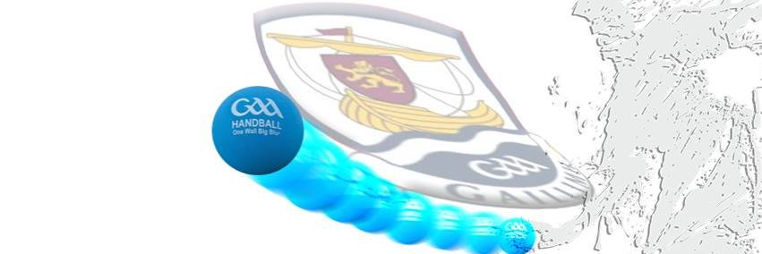 CLG Liathróid Láimhe na Gaillimhe banner