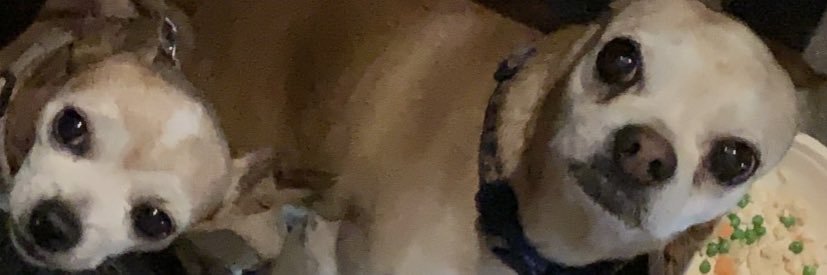 Mikebeeezy's profile banner image