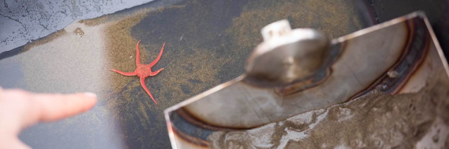 Ice in Motion banner