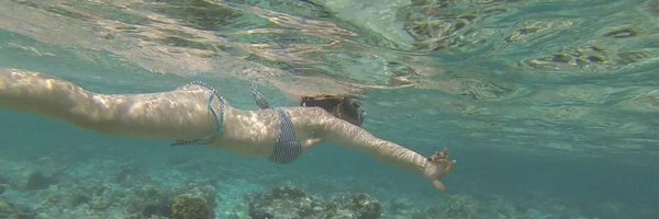 lauretapl Profile Banner