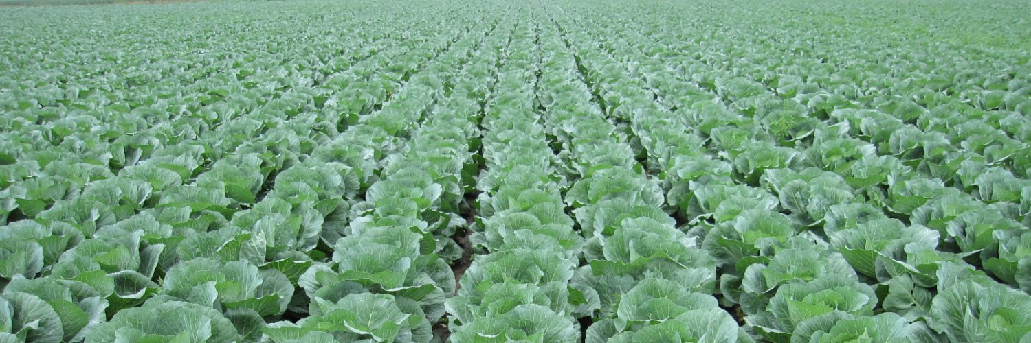 agrisearch's profile banner image