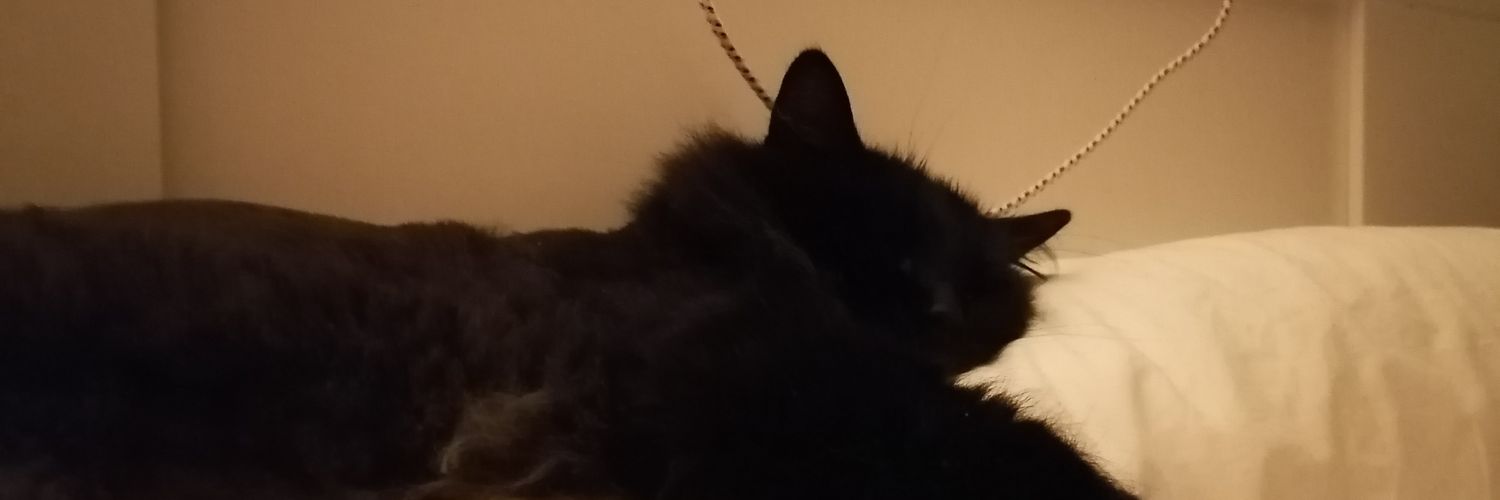 Mogo_Chi's profile banner image