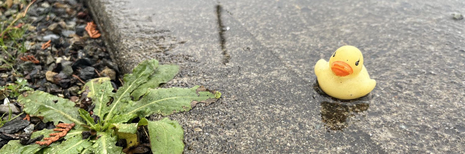 Bob Adlen 🇨🇦 banner