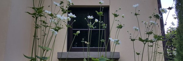 BanyonTreeLisa Profile Banner