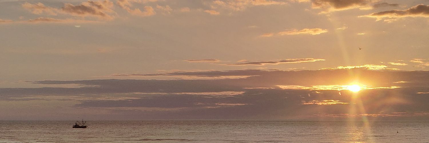 Jervo9's profile banner image