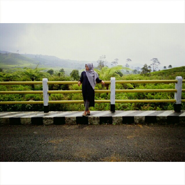 Liantifitri's profile banner image