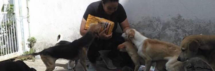 Cold Noses Foundation🐶 banner