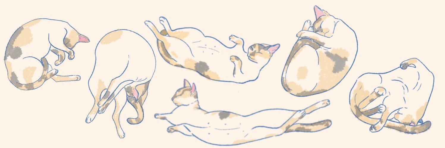 tint_aa's profile banner image