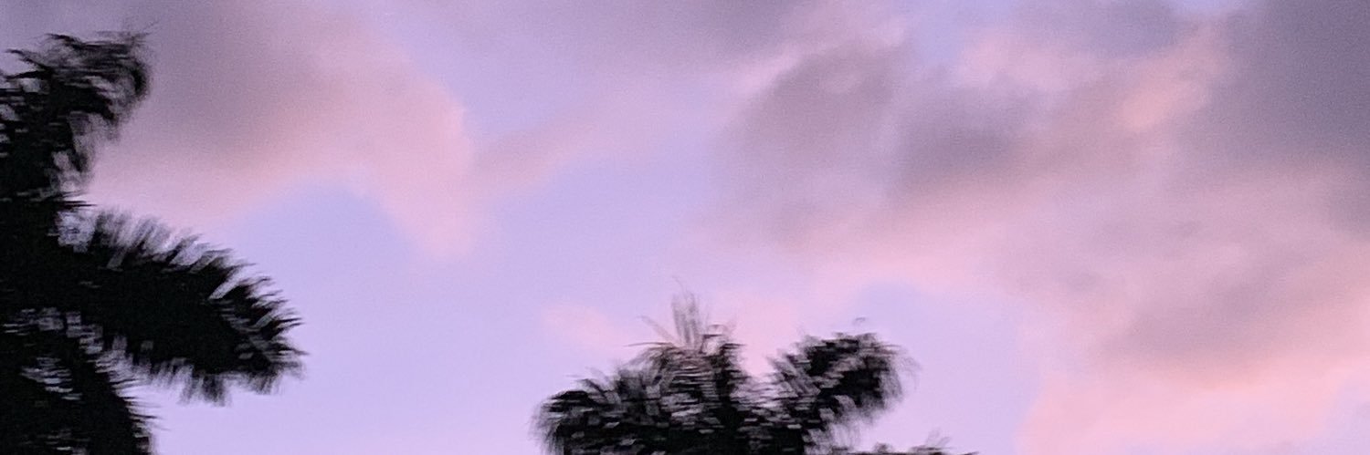 nancyisamadguy's profile banner image