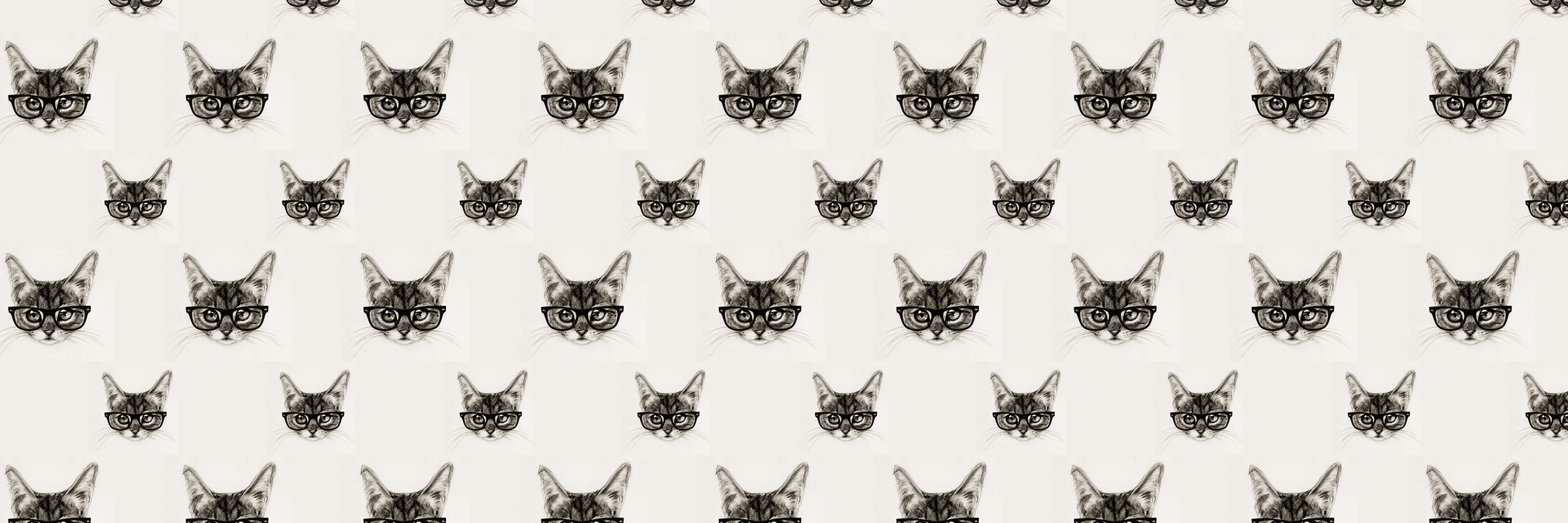 dorkylead's profile banner image