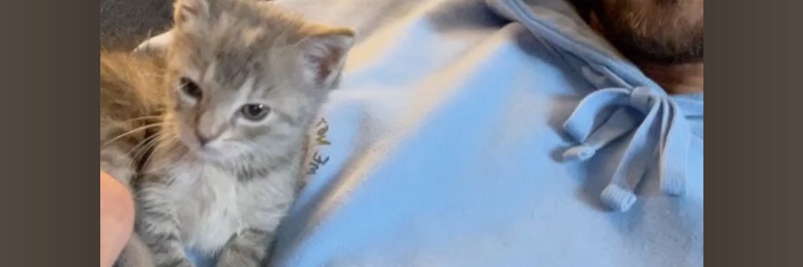 crackachand's profile banner image