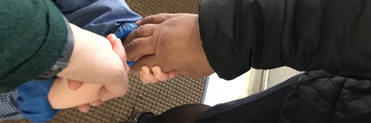 Stoddartla's profile banner image