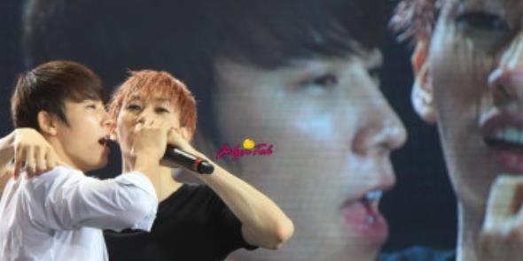 ･:*+.\(( °ω° ))/.:+ banner