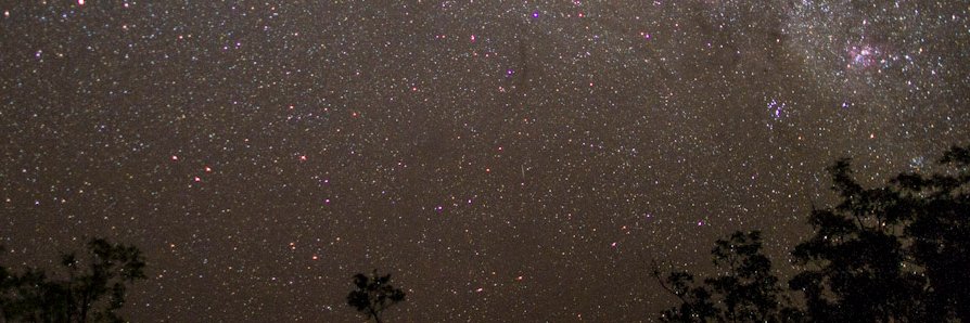 topendbirdfind's profile banner image