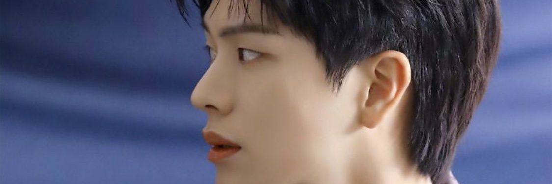 L banner