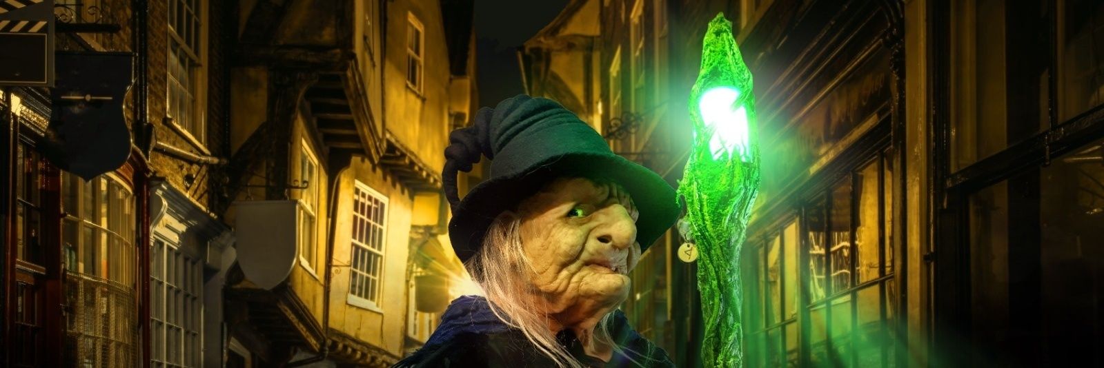 Ye Wise Olde Witch's banner
