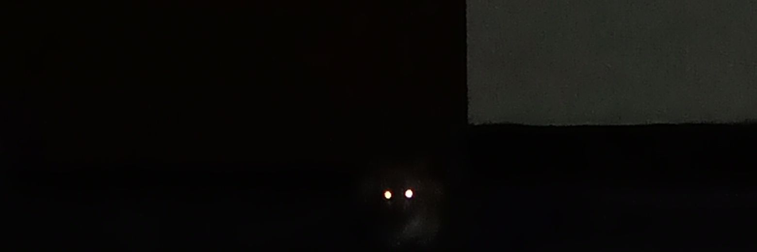 hellkids_'s profile banner image