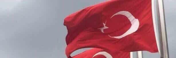zdavran's profile banner image